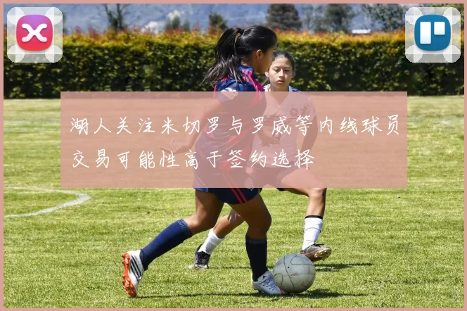 湖人关注米切罗与罗威等内线球员交易可能性高于签约选择