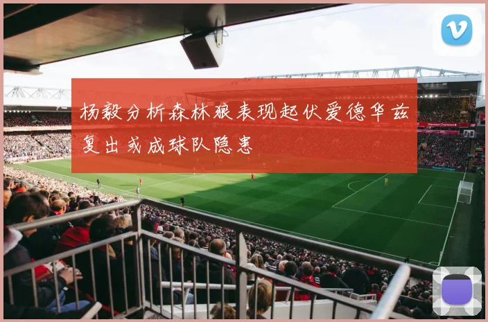 杨毅分析森林狼表现起伏爱德华兹复出或成球队隐患